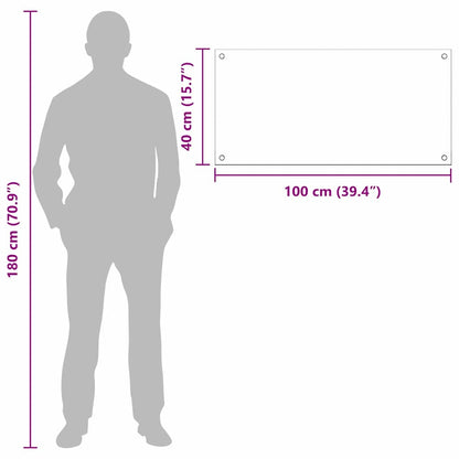 Küchenrückwand 2 pcs Transparent 100 x 40 cm Gehärtetes Glas
