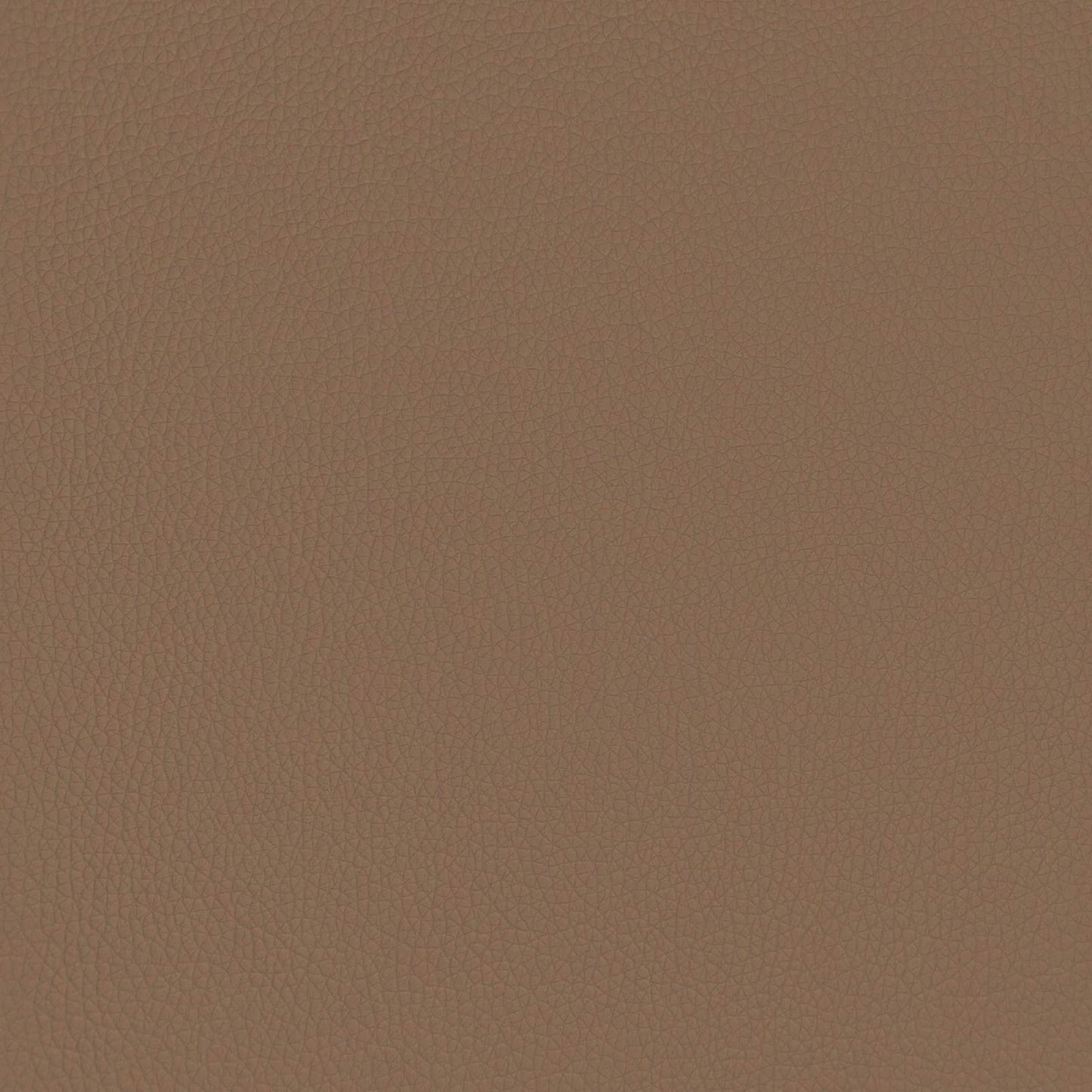 Hängevorderseite Cappuccino 100 x 55 x 5 cm Kunstleder