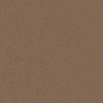 Hängevorderseite Cappuccino 100 x 55 x 5 cm Kunstleder