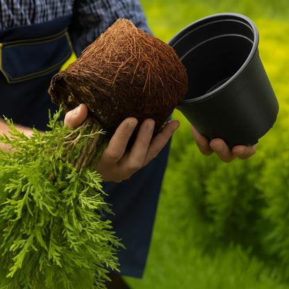 Blumentopf 200 pcs Schwarz Ø 15 x 13 cm Kunststoff