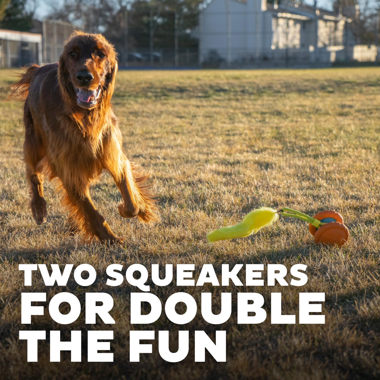 Outward Hound Tail Teaser Replacement Lure for Dog Teaser Wand, Fox